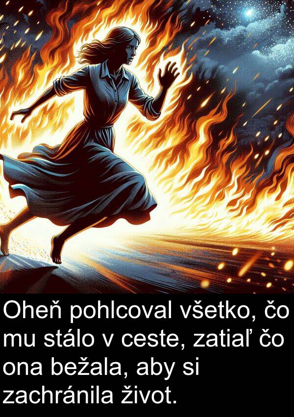 ceste: Oheň pohlcoval všetko, čo mu stálo v ceste, zatiaľ čo ona bežala, aby si zachránila život.