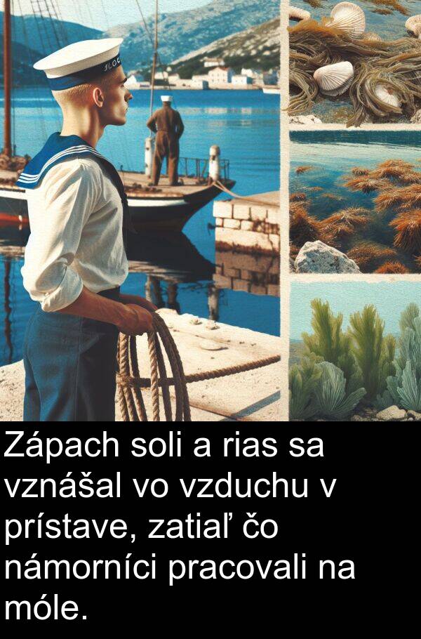 námorníci: Zápach soli a rias sa vznášal vo vzduchu v prístave, zatiaľ čo námorníci pracovali na móle.