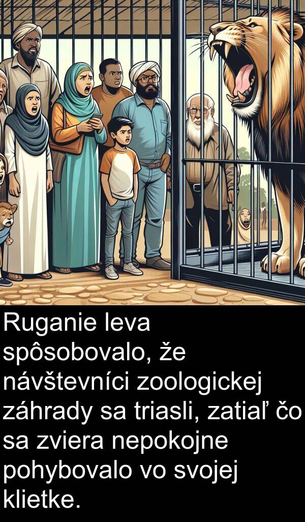 nepokojne: Ruganie leva spôsobovalo, že návštevníci zoologickej záhrady sa triasli, zatiaľ čo sa zviera nepokojne pohybovalo vo svojej klietke.