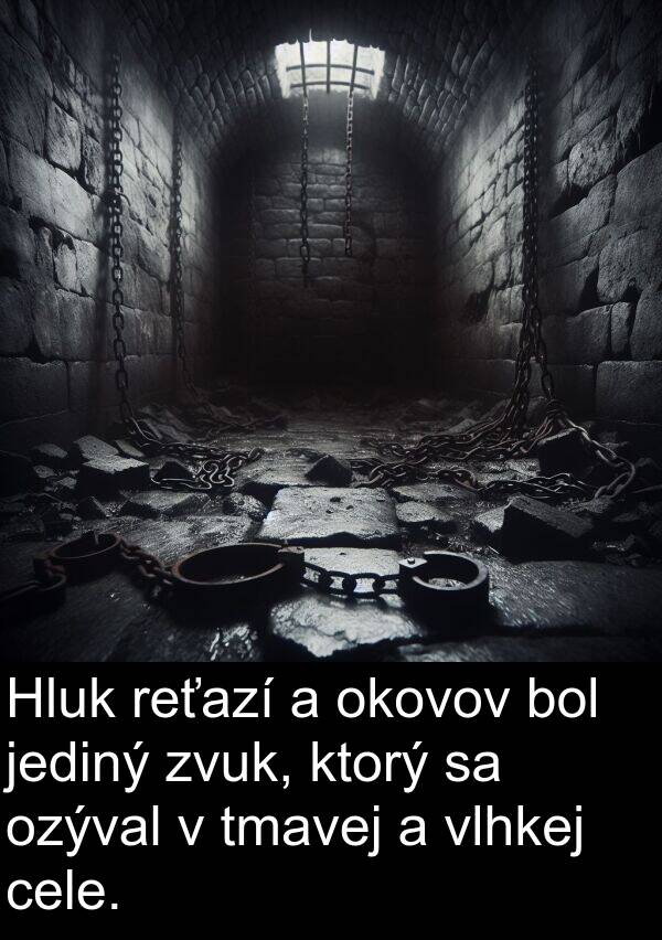 jediný: Hluk reťazí a okovov bol jediný zvuk, ktorý sa ozýval v tmavej a vlhkej cele.