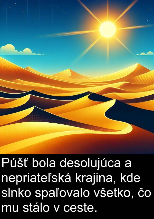ceste: Púšť bola desolujúca a nepriateľská krajina, kde slnko spaľovalo všetko, čo mu stálo v ceste.