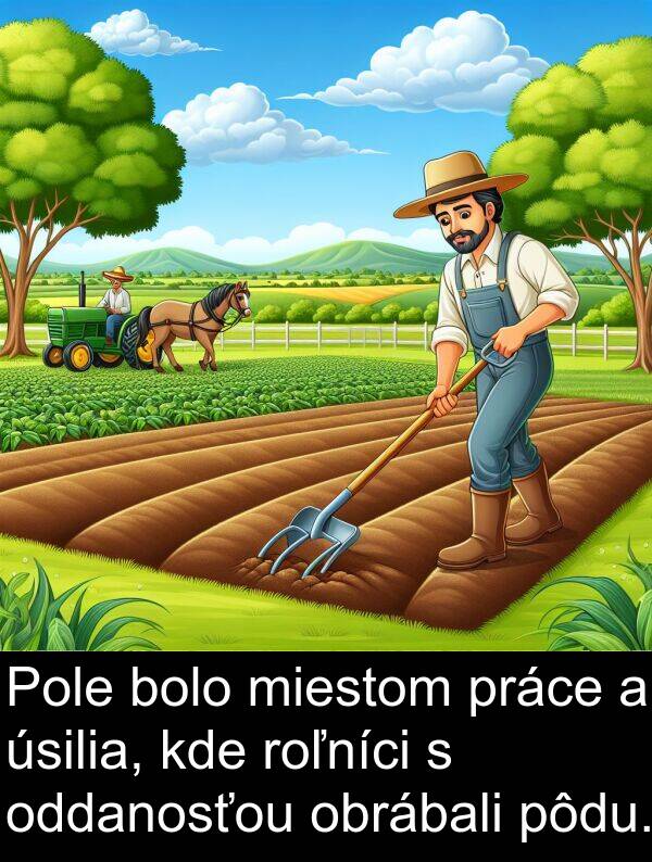 roľníci: Pole bolo miestom práce a úsilia, kde roľníci s oddanosťou obrábali pôdu.
