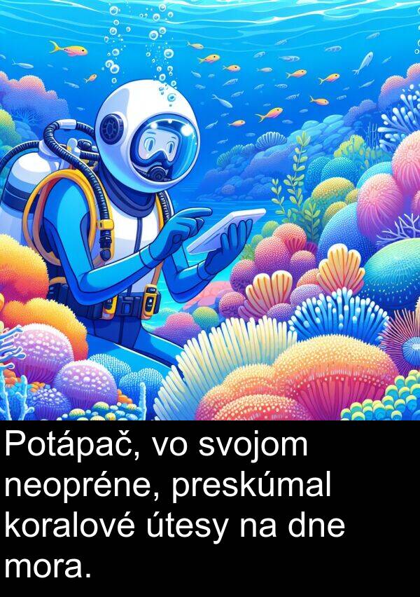 neopréne: Potápač, vo svojom neopréne, preskúmal koralové útesy na dne mora.