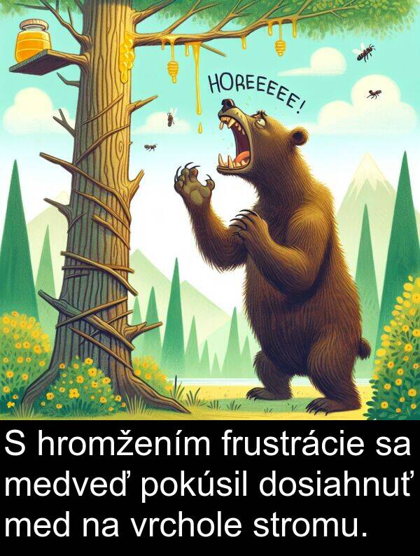 vrchole: S hromžením frustrácie sa medveď pokúsil dosiahnuť med na vrchole stromu.