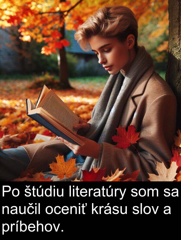 naučil: Po štúdiu literatúry som sa naučil oceniť krásu slov a príbehov.