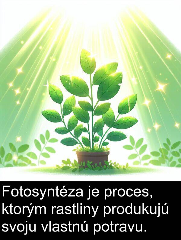 potravu: Fotosyntéza je proces, ktorým rastliny produkujú svoju vlastnú potravu.