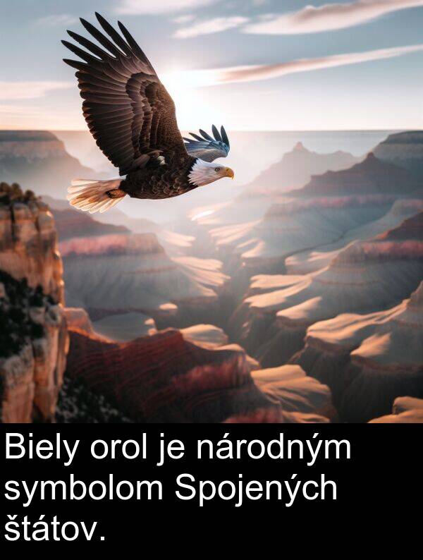 štátov: Biely orol je národným symbolom Spojených štátov.