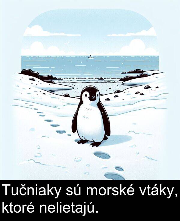 vtáky: Tučniaky sú morské vtáky, ktoré nelietajú.