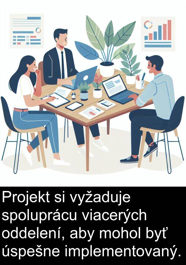 implementovaný: Projekt si vyžaduje spoluprácu viacerých oddelení, aby mohol byť úspešne implementovaný.