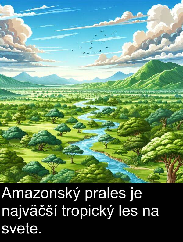 svete: Amazonský prales je najväčší tropický les na svete.