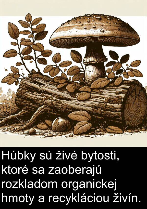 organickej: Húbky sú živé bytosti, ktoré sa zaoberajú rozkladom organickej hmoty a recykláciou živín.