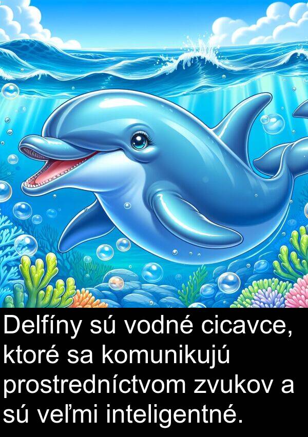 cicavce: Delfíny sú vodné cicavce, ktoré sa komunikujú prostredníctvom zvukov a sú veľmi inteligentné.