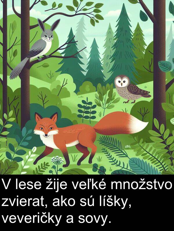 lese: V lese žije veľké množstvo zvierat, ako sú líšky, veveričky a sovy.
