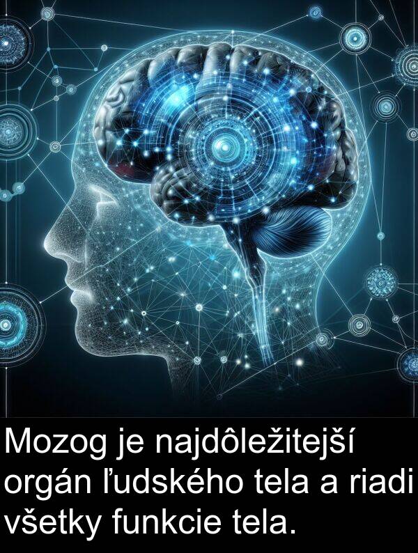 riadi: Mozog je najdôležitejší orgán ľudského tela a riadi všetky funkcie tela.