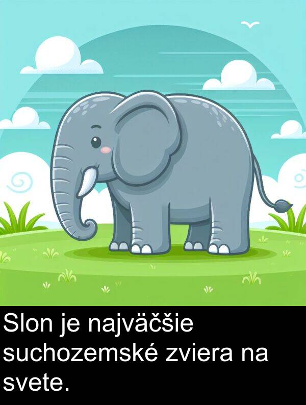 svete: Slon je najväčšie suchozemské zviera na svete.