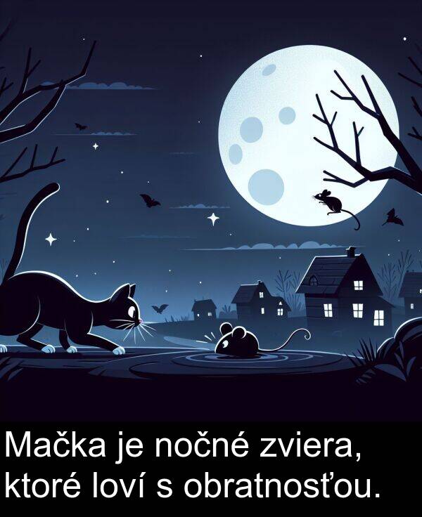 nočné: Mačka je nočné zviera, ktoré loví s obratnosťou.