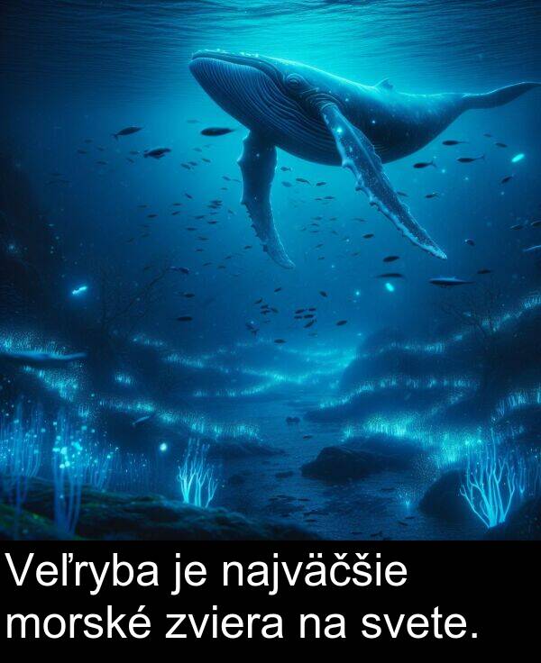 svete: Veľryba je najväčšie morské zviera na svete.