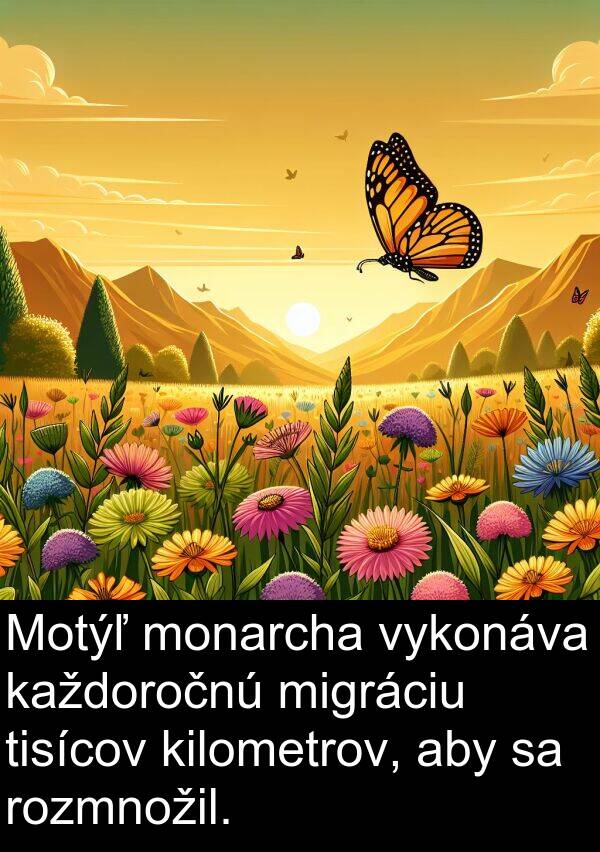 vykonáva: Motýľ monarcha vykonáva každoročnú migráciu tisícov kilometrov, aby sa rozmnožil.