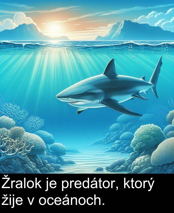 ktorý: Žralok je predátor, ktorý žije v oceánoch.