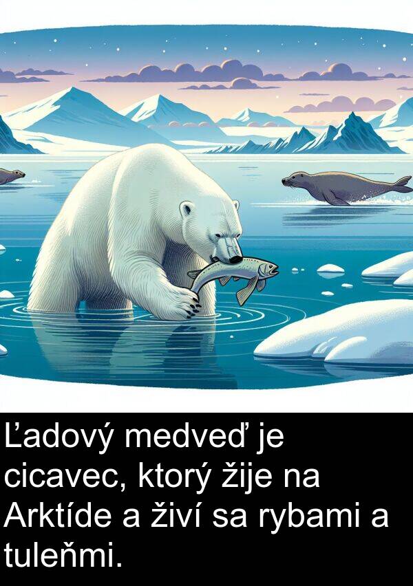 rybami: Ľadový medveď je cicavec, ktorý žije na Arktíde a živí sa rybami a tuleňmi.