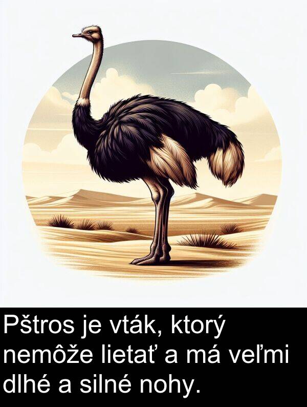 nohy: Pštros je vták, ktorý nemôže lietať a má veľmi dlhé a silné nohy.