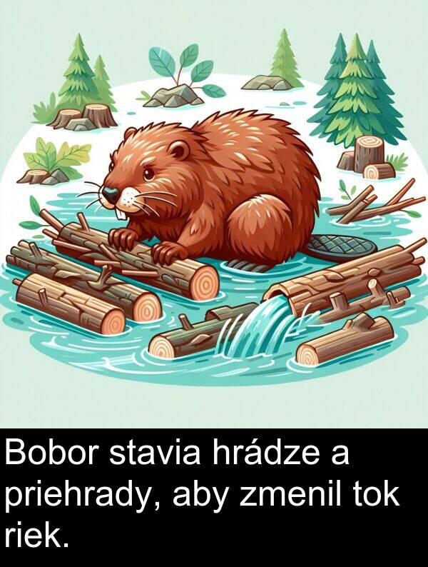 priehrady: Bobor stavia hrádze a priehrady, aby zmenil tok riek.