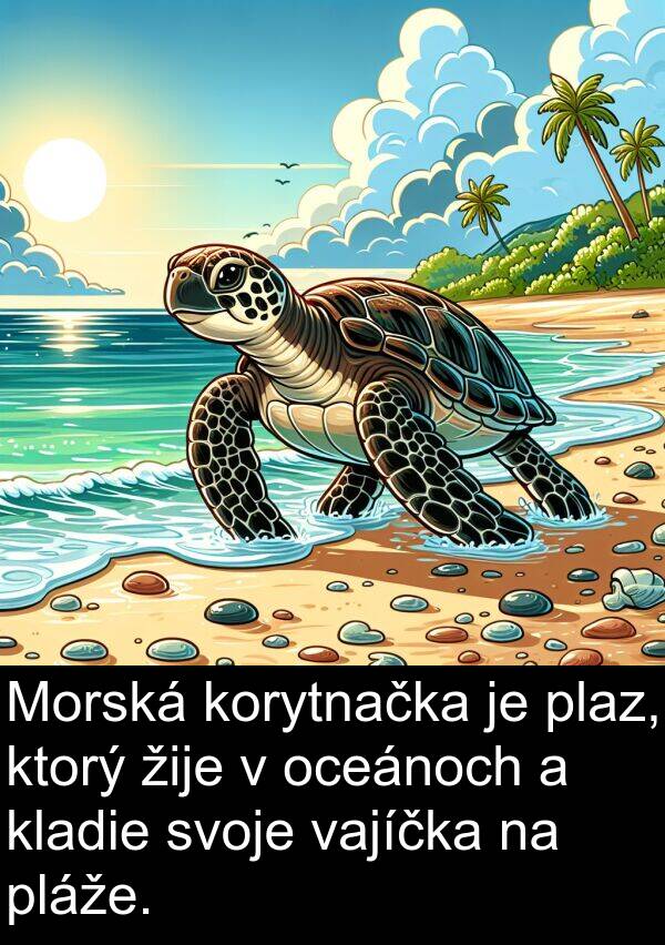 vajíčka: Morská korytnačka je plaz, ktorý žije v oceánoch a kladie svoje vajíčka na pláže.