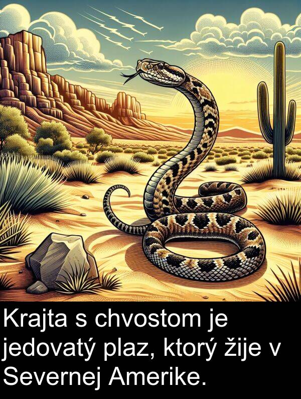 chvostom: Krajta s chvostom je jedovatý plaz, ktorý žije v Severnej Amerike.
