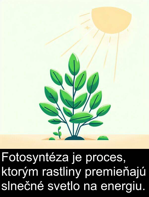 svetlo: Fotosyntéza je proces, ktorým rastliny premieňajú slnečné svetlo na energiu.