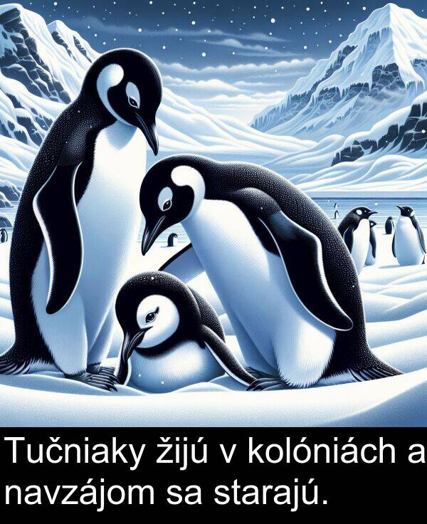 navzájom: Tučniaky žijú v kolóniách a navzájom sa starajú.