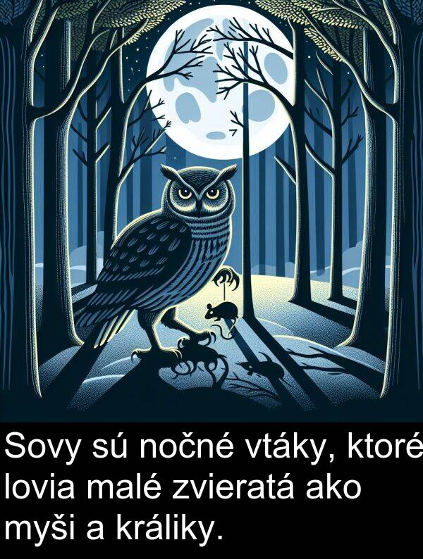 myši: Sovy sú nočné vtáky, ktoré lovia malé zvieratá ako myši a králiky.