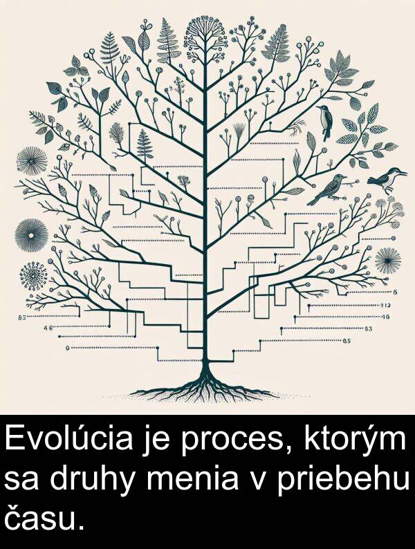 času: Evolúcia je proces, ktorým sa druhy menia v priebehu času.