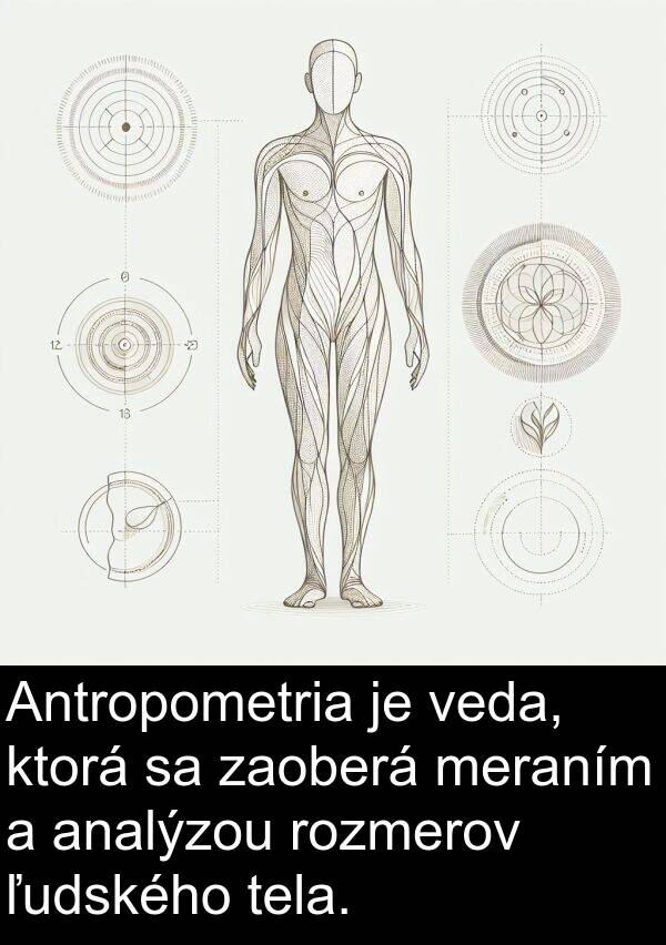 rozmerov: Antropometria je veda, ktorá sa zaoberá meraním a analýzou rozmerov ľudského tela.