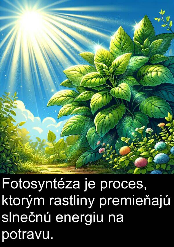 potravu: Fotosyntéza je proces, ktorým rastliny premieňajú slnečnú energiu na potravu.