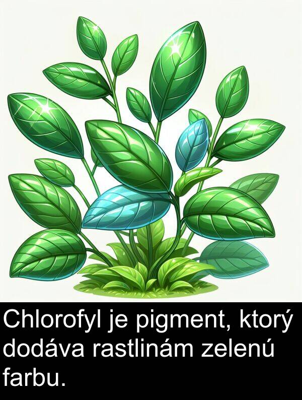 zelenú: Chlorofyl je pigment, ktorý dodáva rastlinám zelenú farbu.