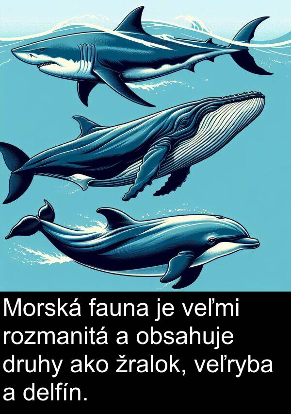 delfín: Morská fauna je veľmi rozmanitá a obsahuje druhy ako žralok, veľryba a delfín.