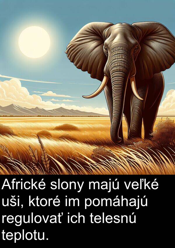ich: Africké slony majú veľké uši, ktoré im pomáhajú regulovať ich telesnú teplotu.