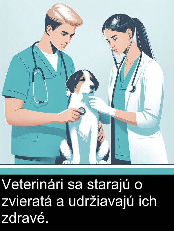 ich: Veterinári sa starajú o zvieratá a udržiavajú ich zdravé.