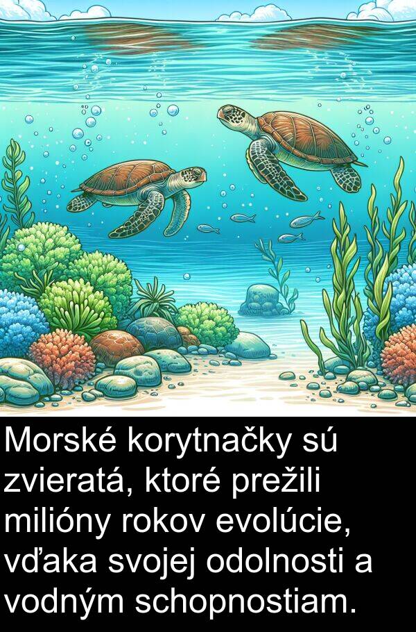 vďaka: Morské korytnačky sú zvieratá, ktoré prežili milióny rokov evolúcie, vďaka svojej odolnosti a vodným schopnostiam.