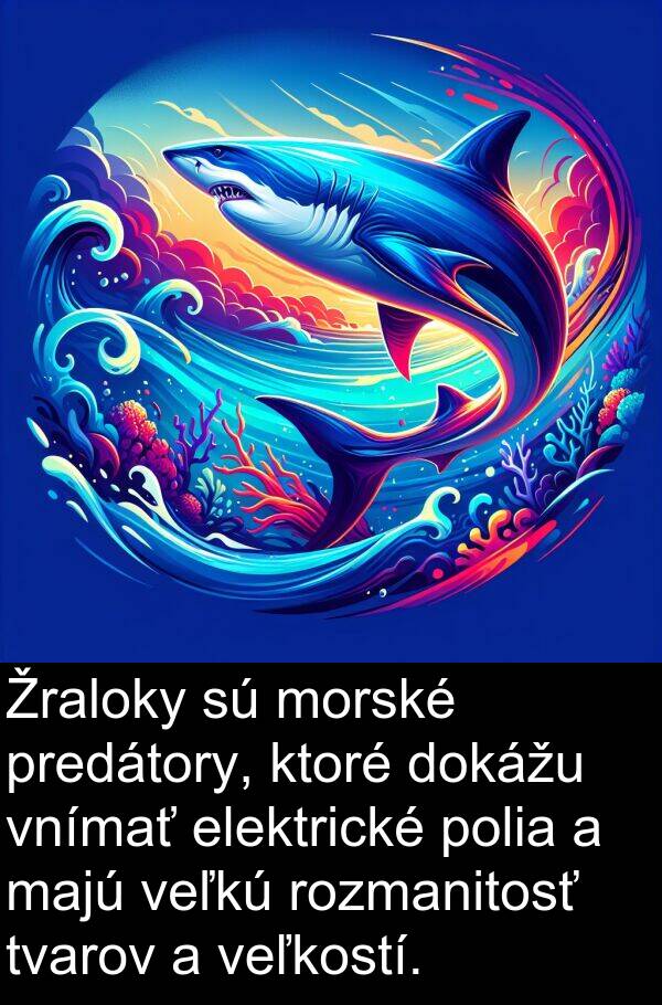 veľkú: Žraloky sú morské predátory, ktoré dokážu vnímať elektrické polia a majú veľkú rozmanitosť tvarov a veľkostí.