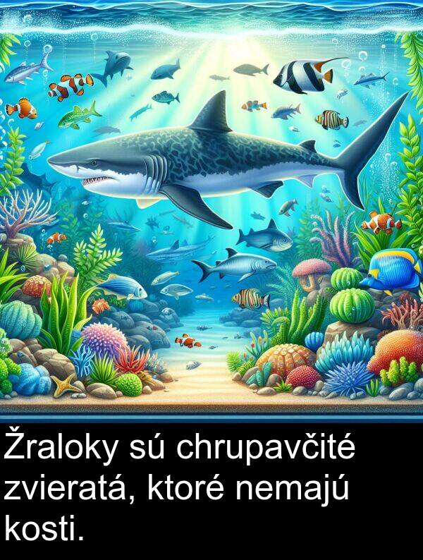 ktoré: Žraloky sú chrupavčité zvieratá, ktoré nemajú kosti.