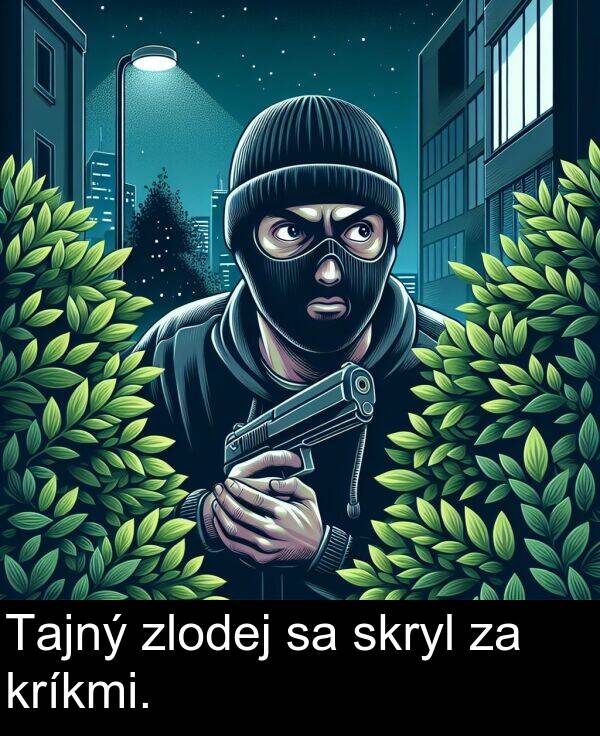 zlodej: Tajný zlodej sa skryl za kríkmi.