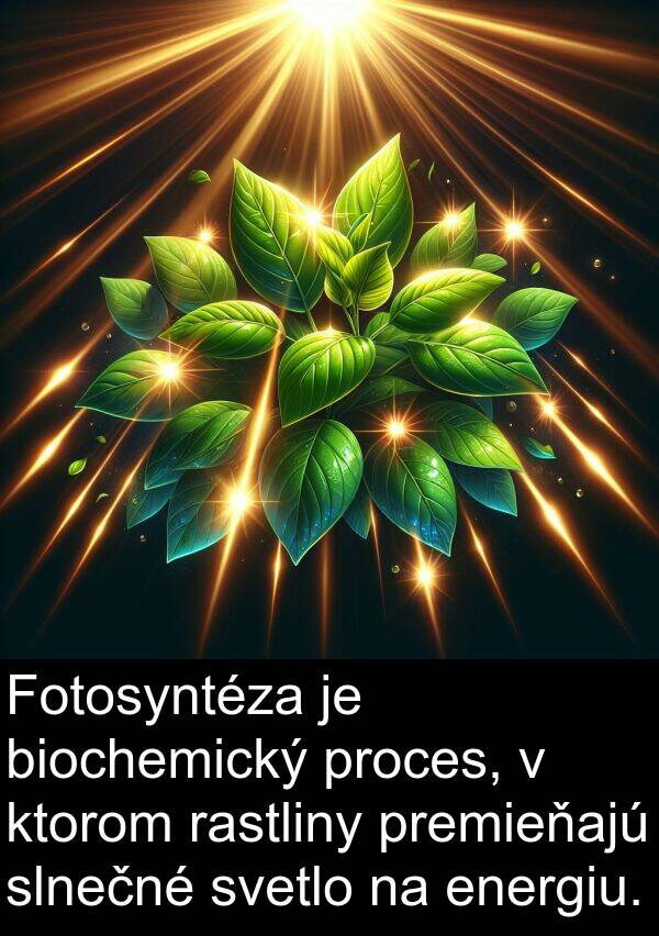 svetlo: Fotosyntéza je biochemický proces, v ktorom rastliny premieňajú slnečné svetlo na energiu.