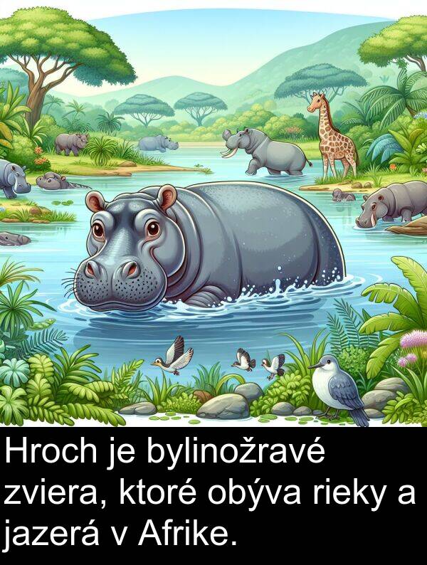 rieky: Hroch je bylinožravé zviera, ktoré obýva rieky a jazerá v Afrike.