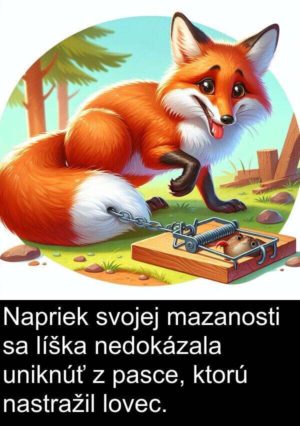 nedokázala: Napriek svojej mazanosti sa líška nedokázala uniknúť z pasce, ktorú nastražil lovec.