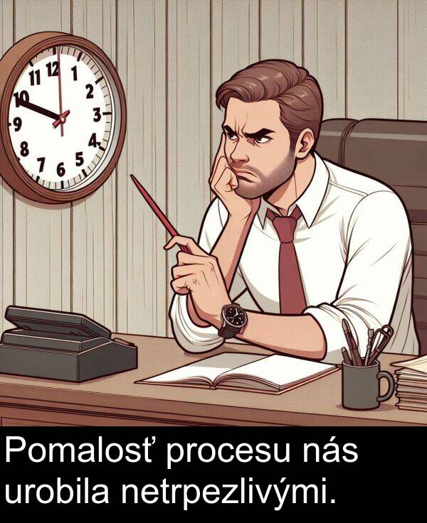 netrpezlivými: Pomalosť procesu nás urobila netrpezlivými.
