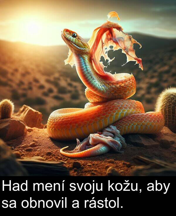 rástol: Had mení svoju kožu, aby sa obnovil a rástol.
