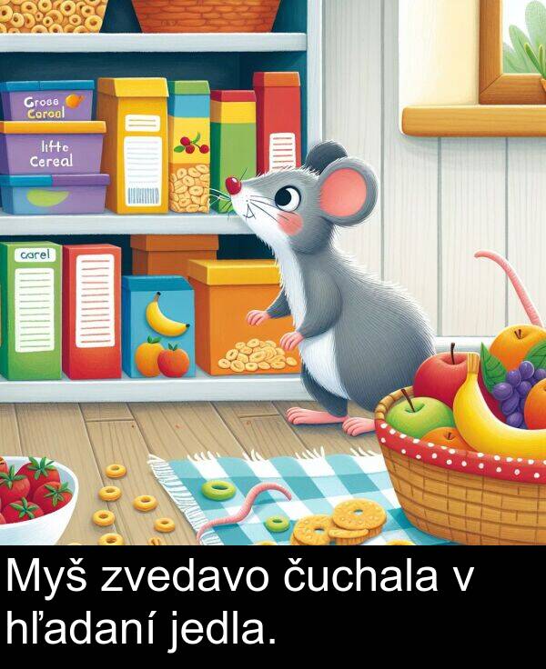 jedla: Myš zvedavo čuchala v hľadaní jedla.