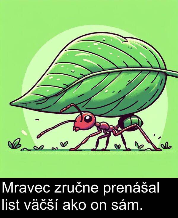 ako: Mravec zručne prenášal list väčší ako on sám.