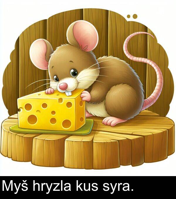 syra: Myš hryzla kus syra.